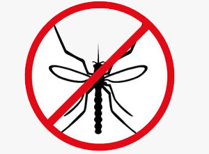 Anti-Insect