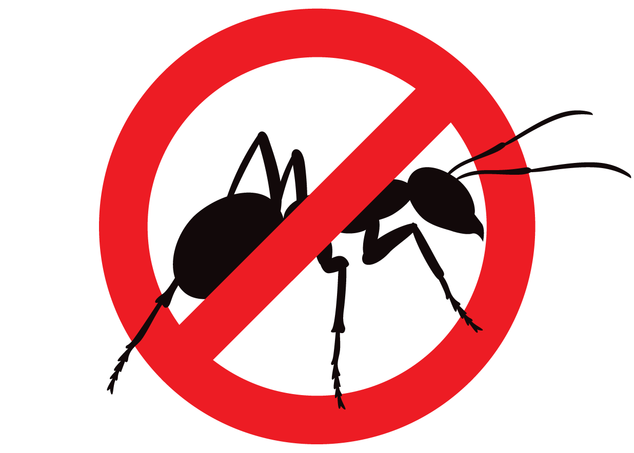 Anti-Insect-jedi